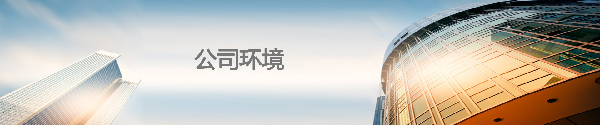 稳压器